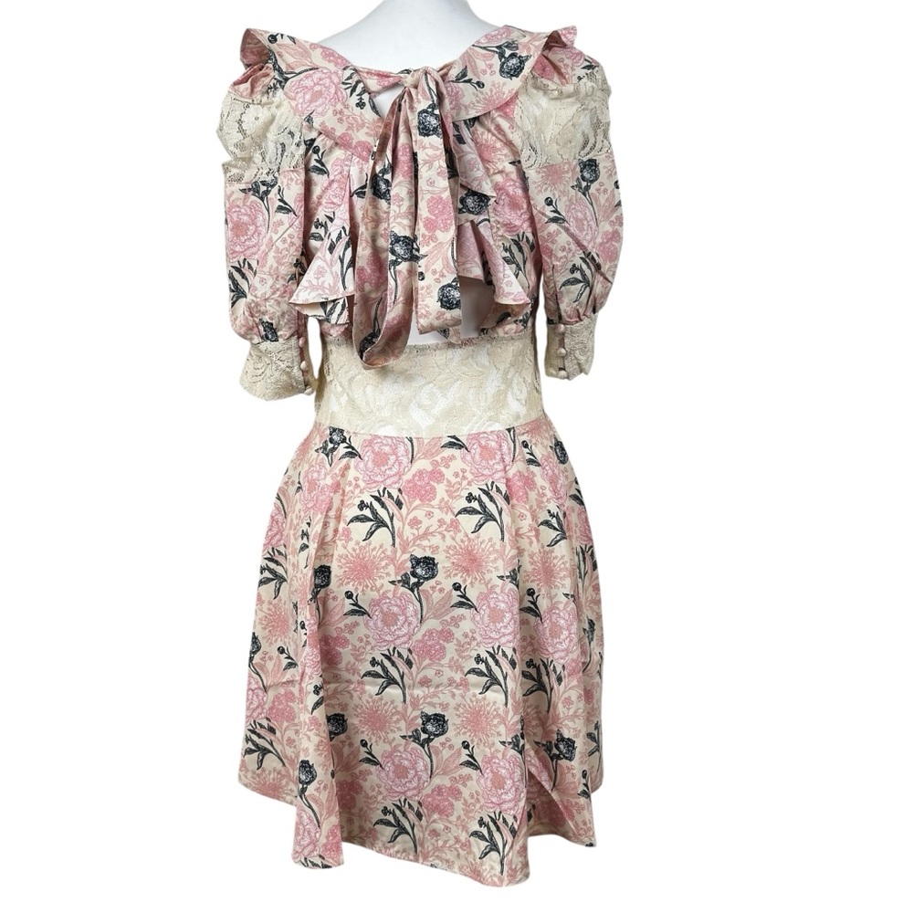 NWT Alamia Floral Lace Cream & Pink Mini Dress Boutique Romantic Coquette Girly - Picture 8 of 16
